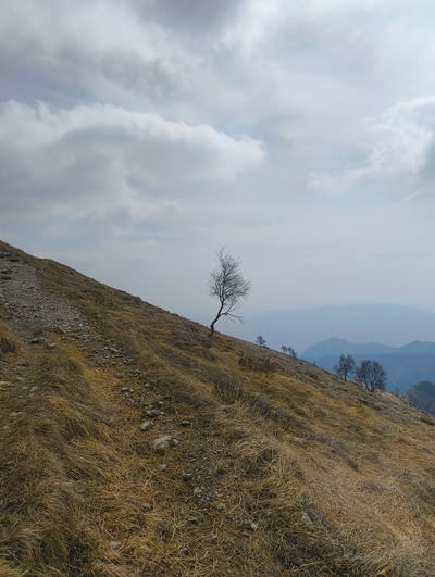 Foto copertina-400 Resegone │ Gamma 1